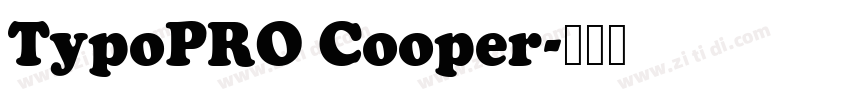 TypoPRO Cooper字体转换